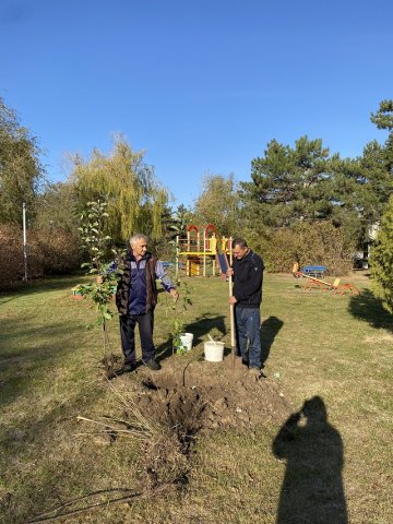 Осенний День древонасаждения 20.10.2023 г.